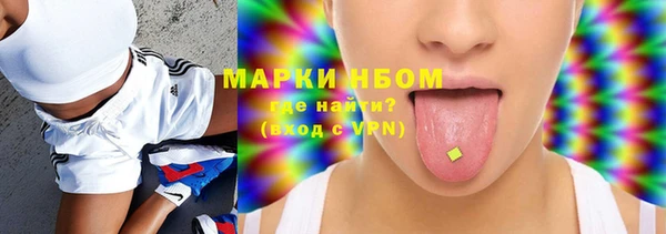 крисы Новозыбков