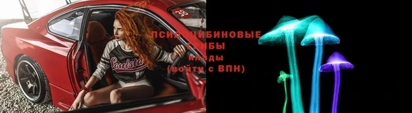 индика Нефтегорск