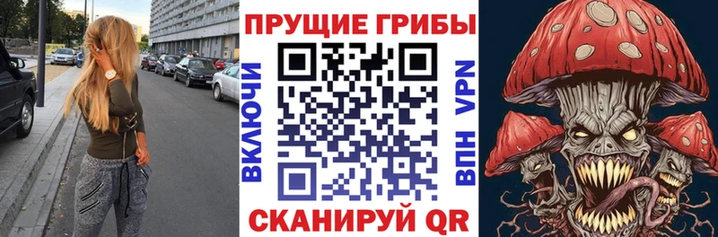 Псилоцибиновые грибы мухоморы Купить где Бийск